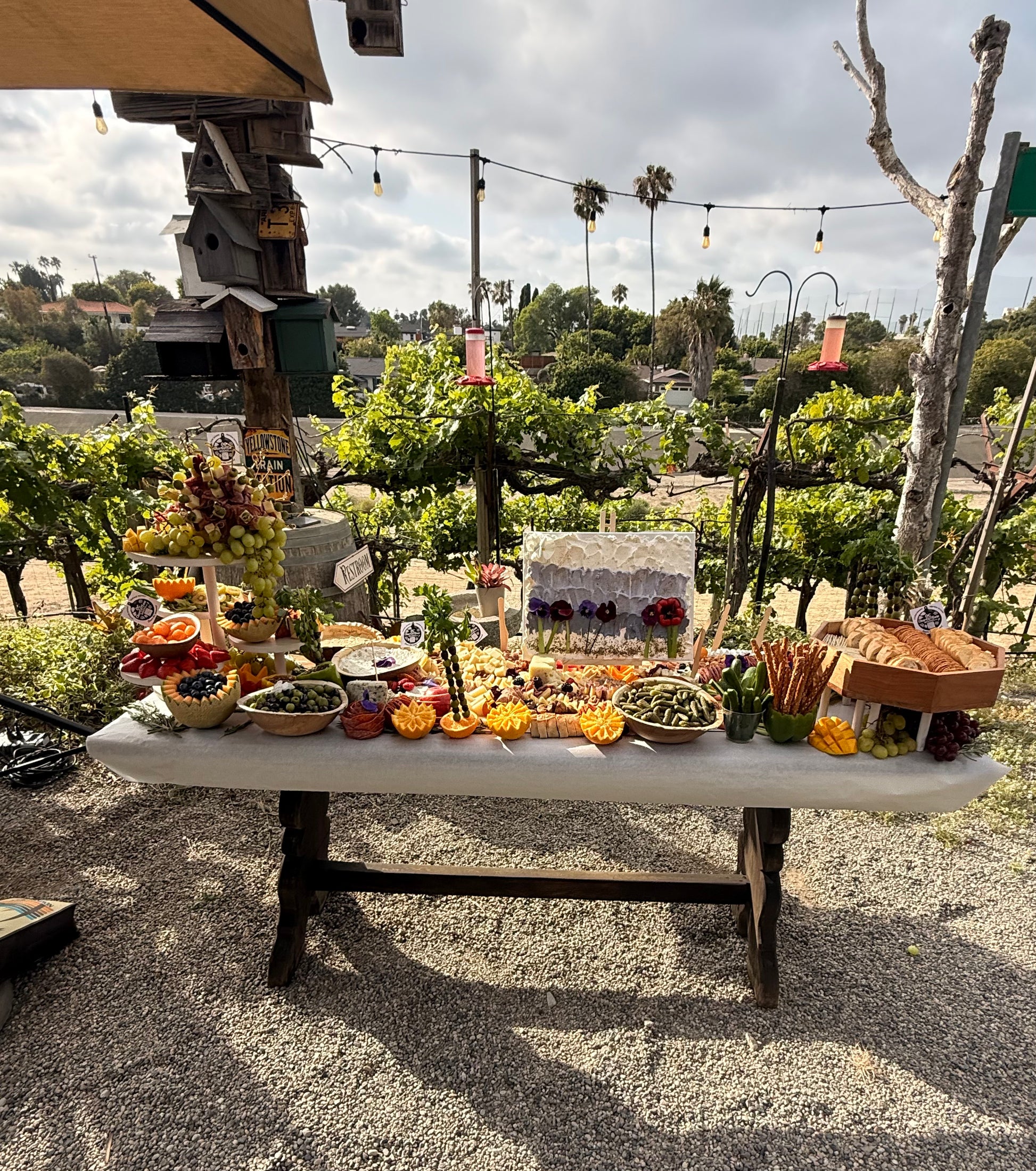 Edible cheese canvas centerpiece displayed on grazing table with artisan cheese spread, Orange County